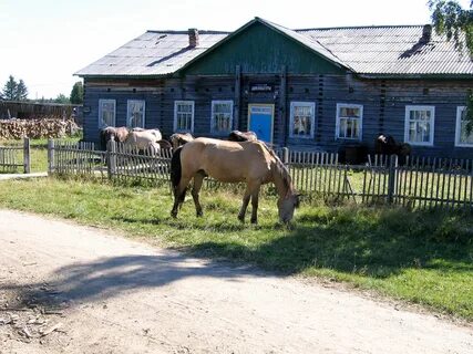 Барахолка мезень