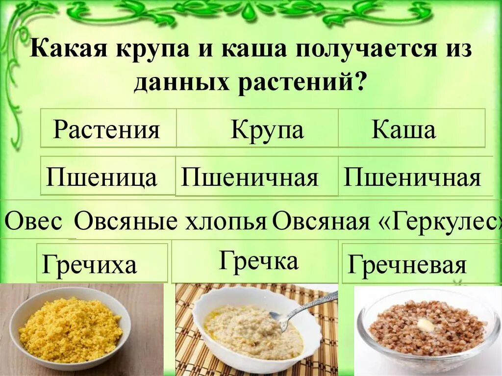 Как правильно сварить рисовую кашу. Крупы для каш. Какая каша из пшеницы. Каша растение. Из какой крупы какая каша.