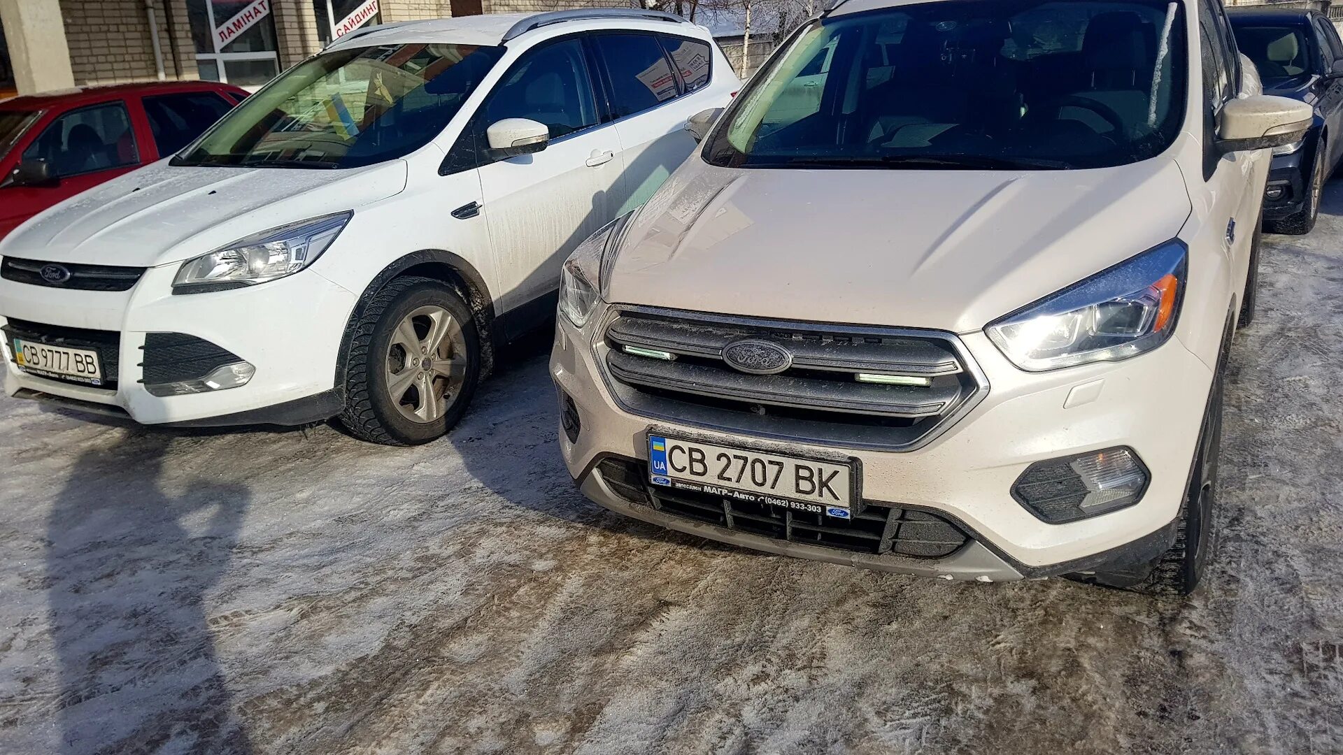 Frozen white. Цвет Frozen White Форд. Ford Australia f1 Frozen White. Kuga 2012-2020, 1.6l ECOBOOST SCTI (150ps), Frozen White. Frozen White Ford код краски.