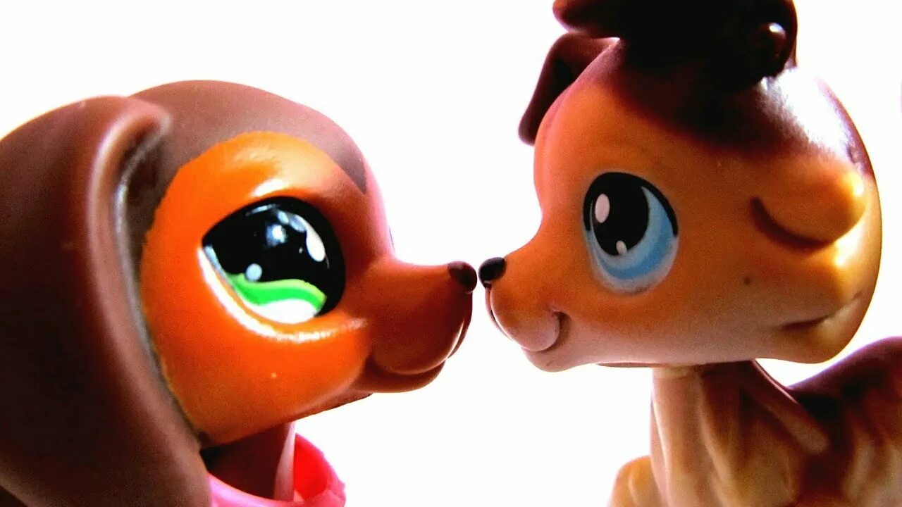 Лпс феи. Лпс популяр арты саванна и брук. Лпс популяр арт. Lps арт. Мр популяр.