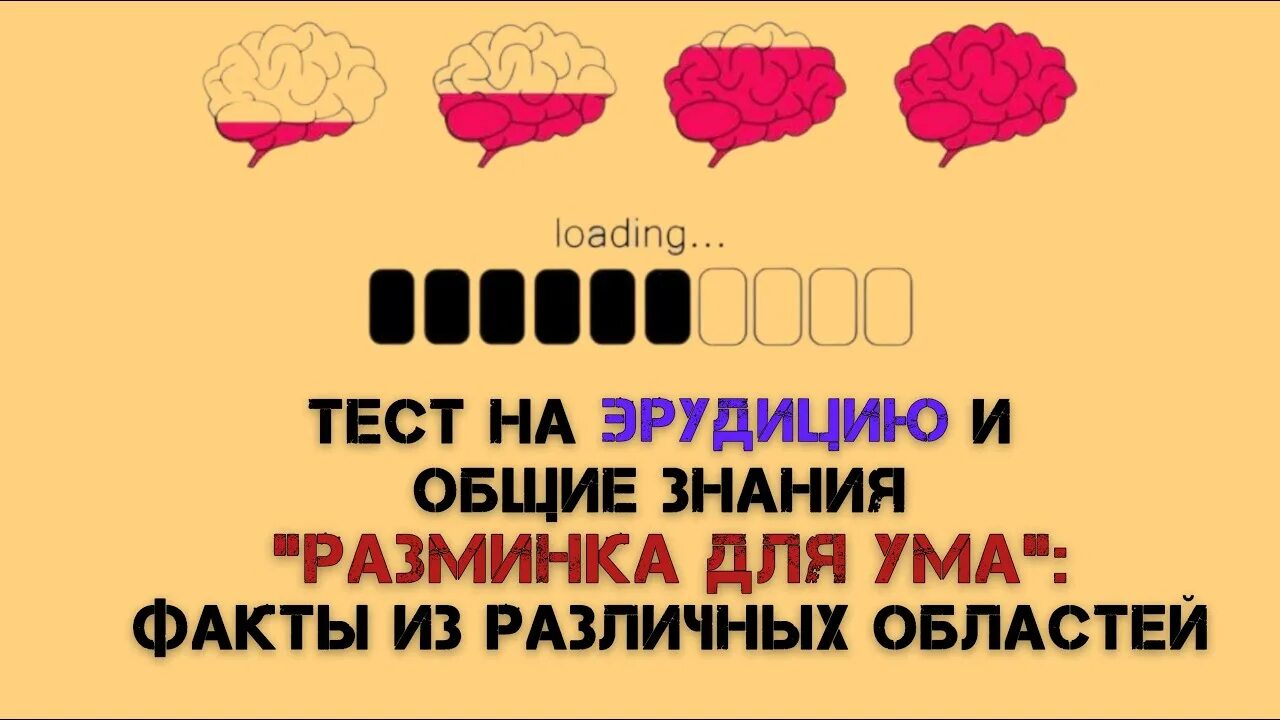 Новые тесты на эрудицию. Тесты на эрудицию. Тесты на эрудицию с ответами.