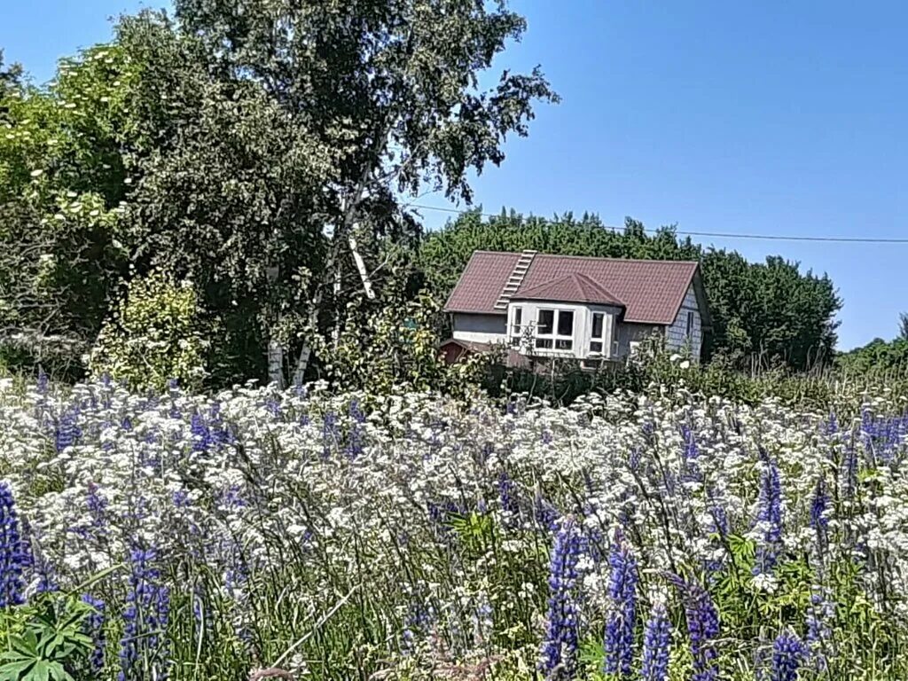 Отзывы о "House on Tsentralnaya 18", Россия, Калининградская область, посёлок го