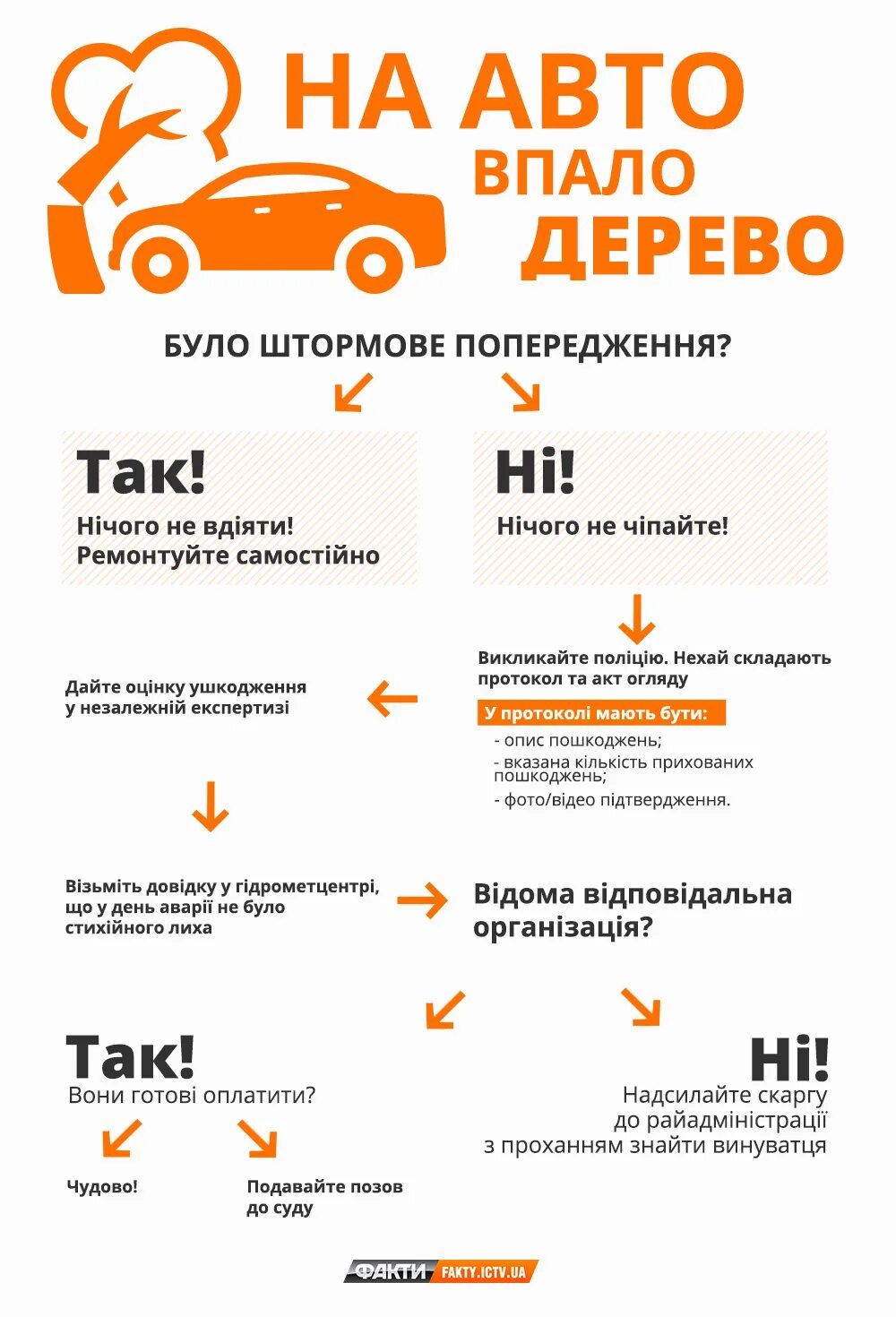 Кому звонить если упало дерево. Что делать если на машину упало дерево. акт упало дерево на машину. страховка машины упало дерево. если на машину упало дерево как составить акт.