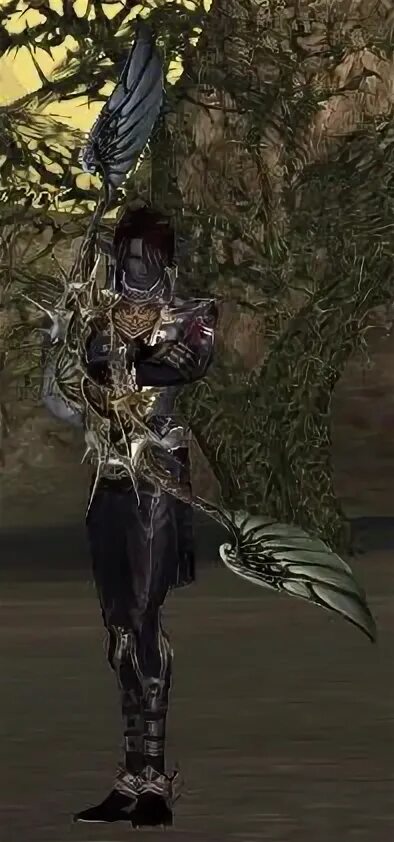 Draconic bow l2. Lineage 2 art. Темный лучник 2. Сворд сингер л2. Л2 арт.