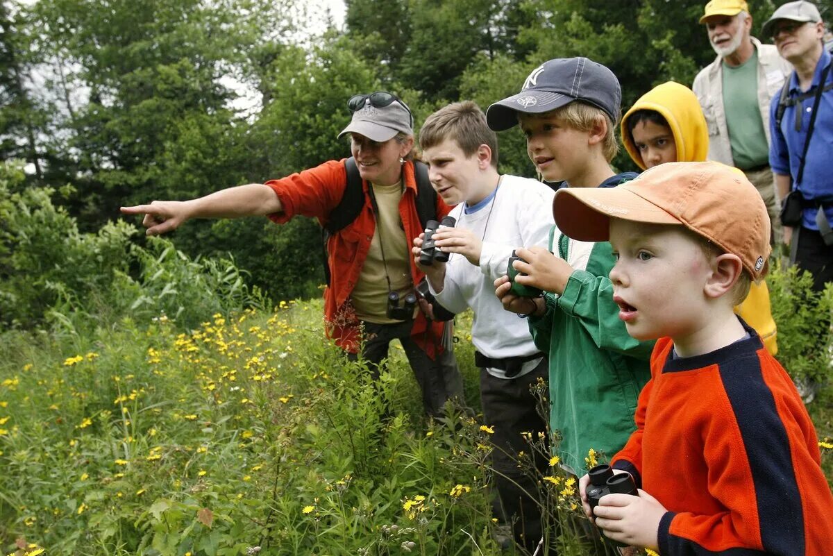 Наблюдать оказать. Экскурсия на природу. Дети и природа. Дети на экскурсии на природе. Школьники в лесу.