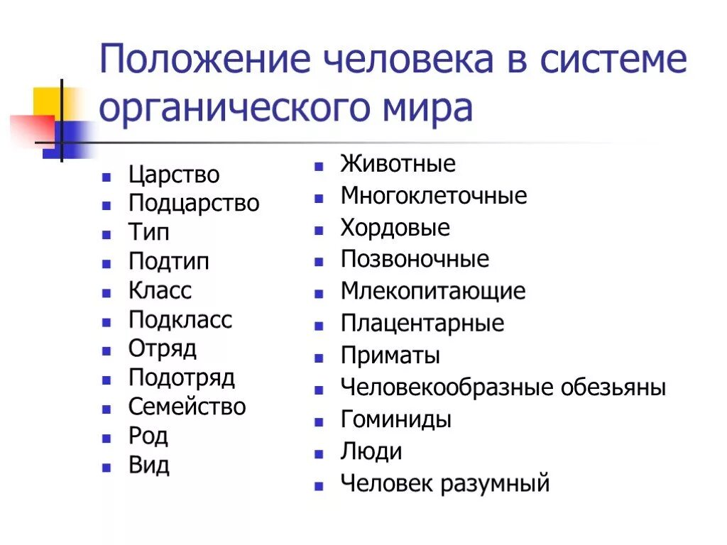 Систематическое положение человека в животном мире. Человек вид род семейство отряд класс тип подцарство царство. систематическое положение человека в системе органического мира. положение человека в системе органического мира таблица. систематическое положение человека в мире животных.