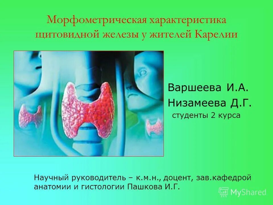 Свойства щитовидной железы. Строение щитовидной железы гормоны анатомия. Свойства щитовидной железы. Свойства щитовидной железы. Функции гормонов щитовидной железы кратко.