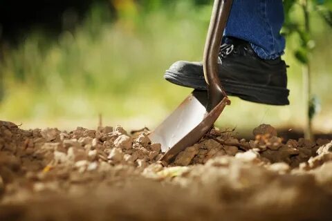 Digging away