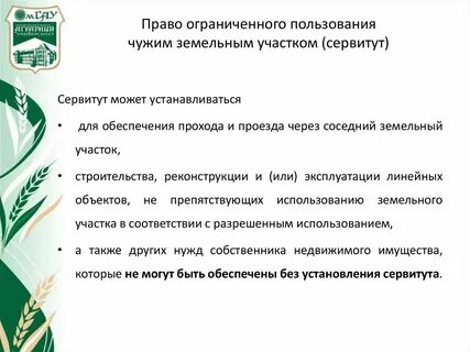 Сервитут на участок лесного фонда