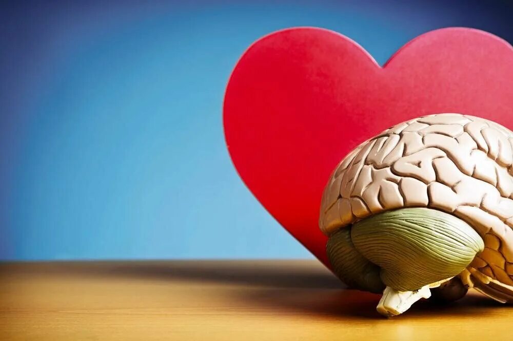 Heart and brain