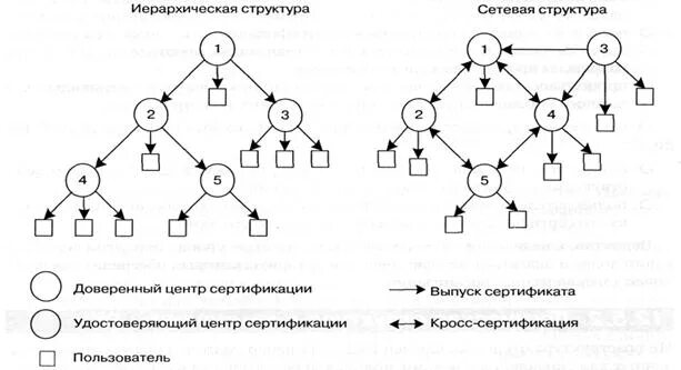 Сетевая структура пример. Сетевая структура. сетевая структура управления схема.