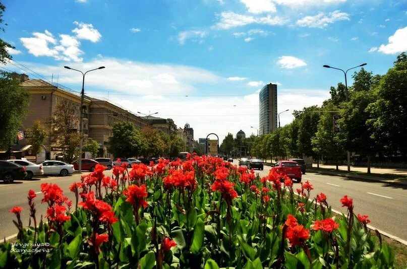 Донецк центр улицы. Донецк центр города. донецк исторический центр. донецк центр 2013. парк артема донецк.