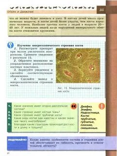 Читать учебник по биологии 8 класс пасечник