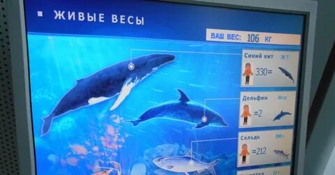 Живые весы