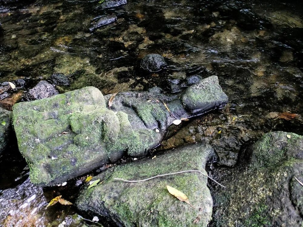 Слизь на камнях в реках. Драгоценные камни в ручьях. Природная вода. Вода ручей. Валун в воде.