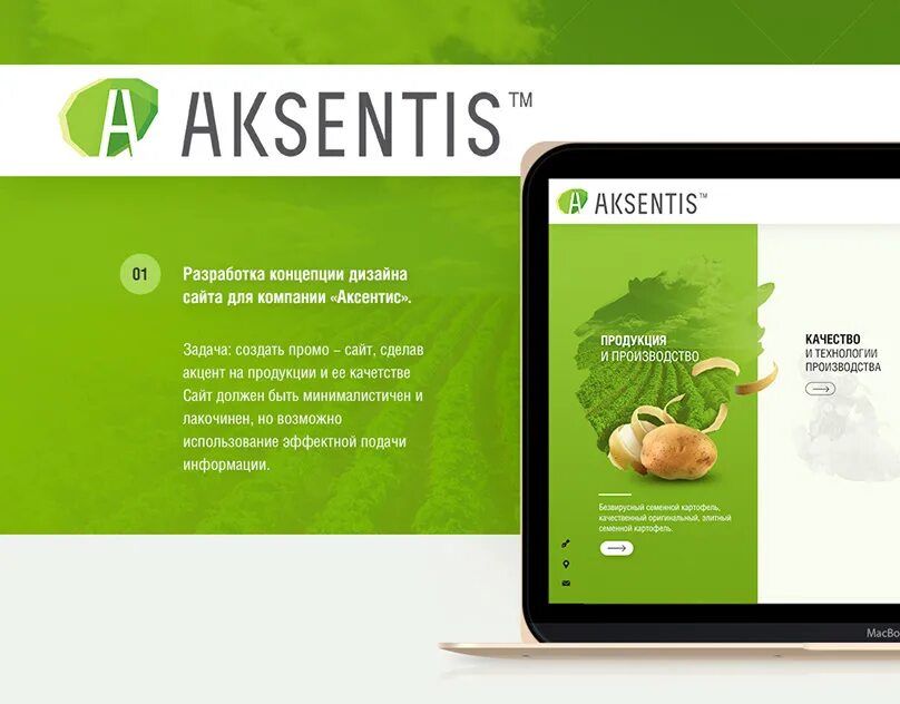 Зеленая веб. Сайты с зеленым дизайном. Зеленый веб дизайн. Зеленый цвет в веб дизайне. Аксентис Потато.