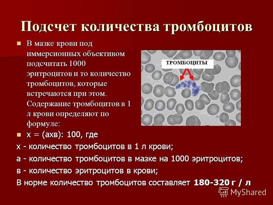 Как определить тромбоциты в крови