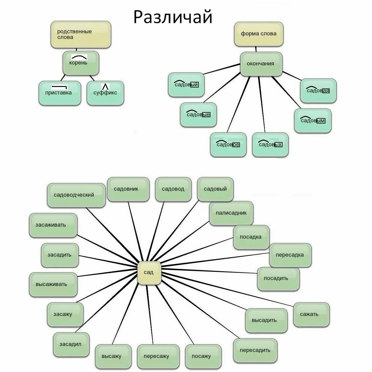 Общее представление о родственных словах. Родственные слова. Однокоренные родственные слова. Родственные и однокоренные слова примеры. Родство слов.