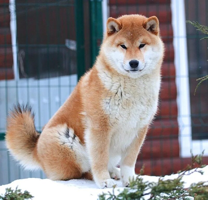 Стар против сил зла обнимаются. 01ne. Ля стар. Звёздочка баттерфляй и марко обнимашки. Ля стар.