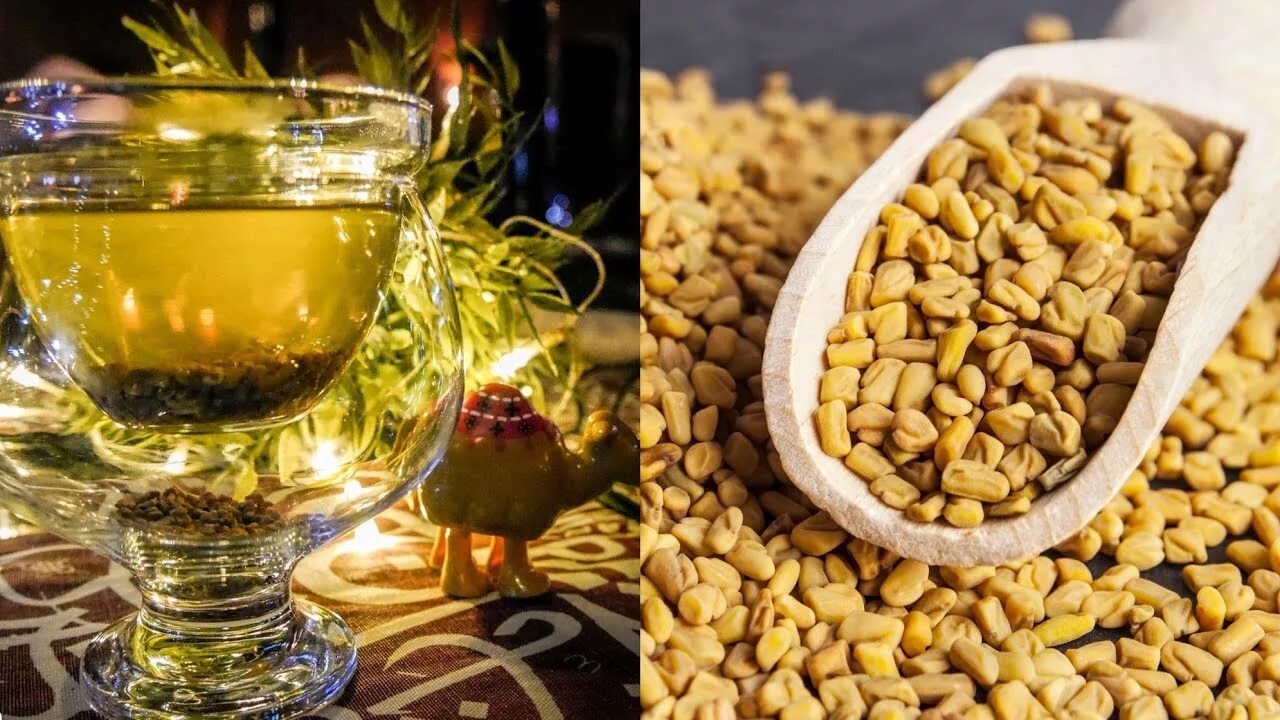 Чай хельба шамбала/пажитник. Пажитник хельба. Хельба. Семена пажитника растение. Семена пажитника.