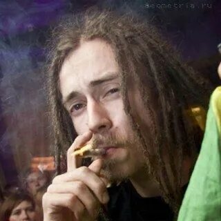 Децл курят депутаты