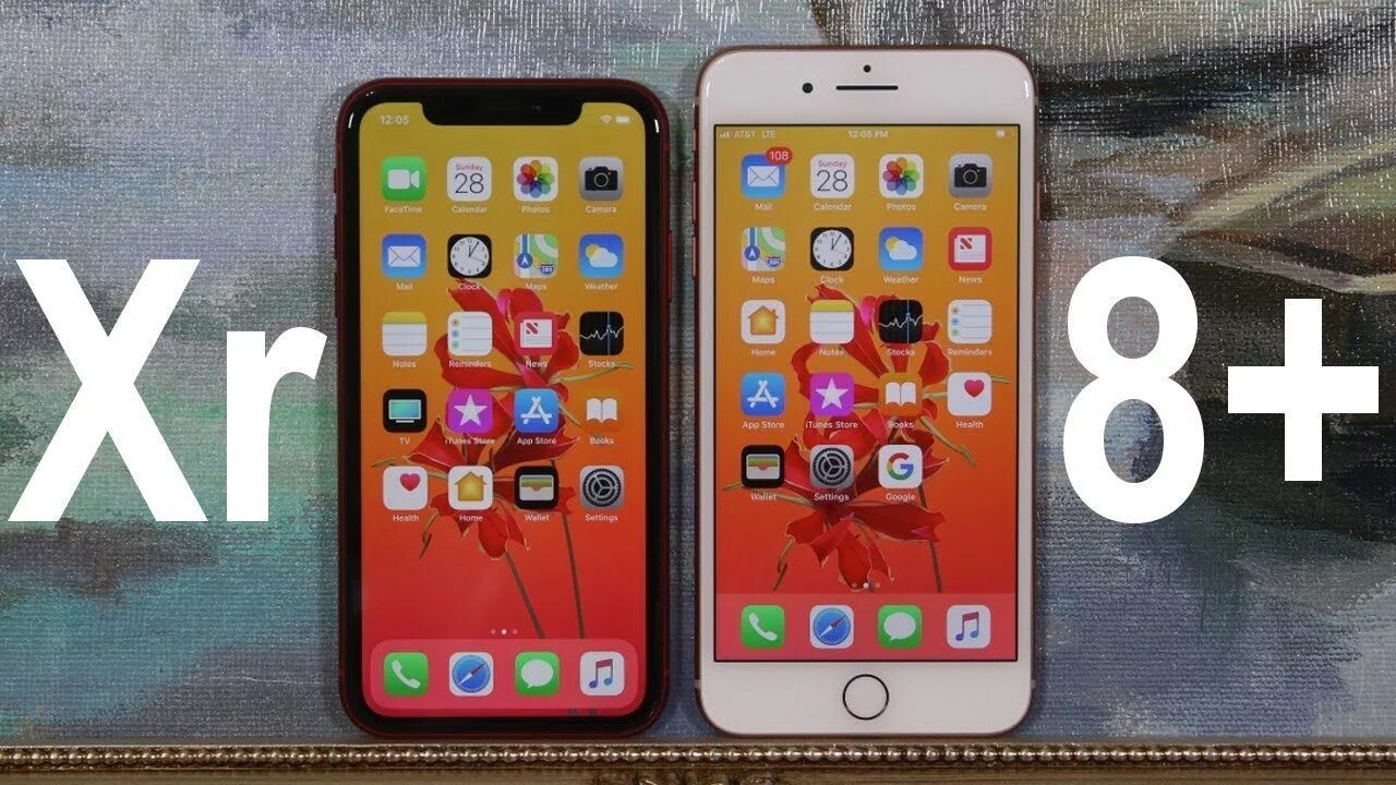 Айфон 8 сравнить. Iphone XR И iphone 8 Plus. Iphone 8 vs XR. Iphone 8 Plus vs iphone XR. Iphone 8 Plus.