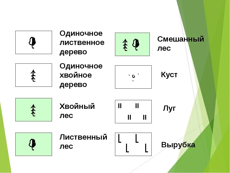 Соответствие лес. Топографическая карта обозначение хвойный лес. смешанный лес условный знак. условный знак вырубка. отдельно стоящее хвойное дерево условный знак.