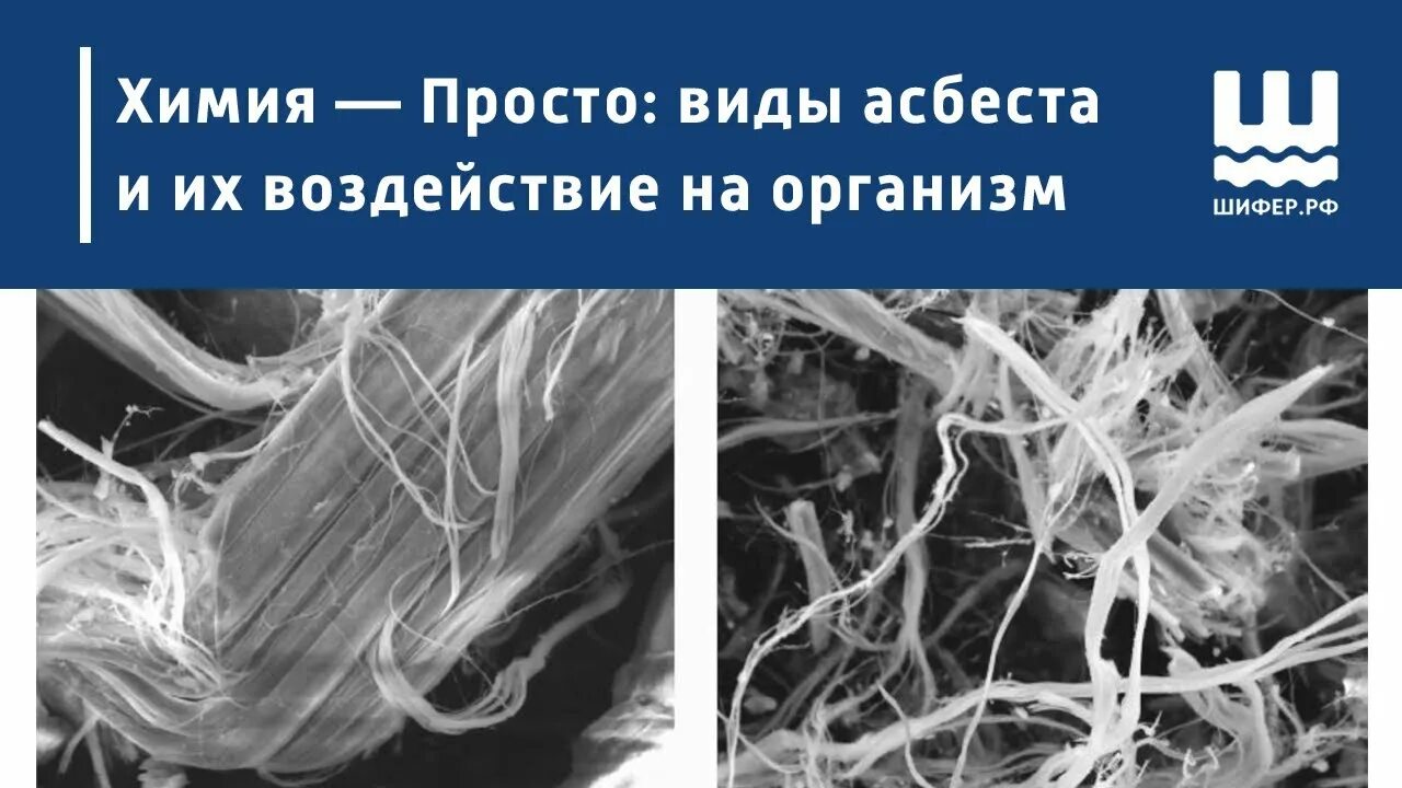 Асбест где содержится. Асбестовая пыль влияние на организм. Воздействие асбеста. Воздействие асбеста. Асбест влияние на организм.