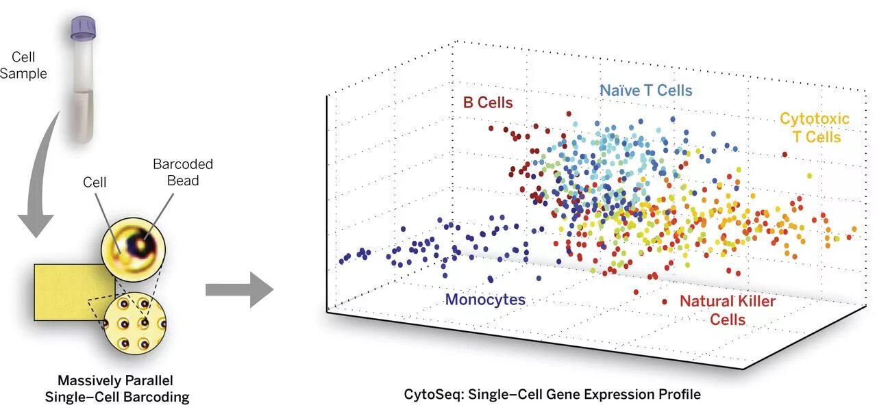 Single cell sequencing. Cell samples. cell tech. martinson hexper cell research. nanopore sequencing gif.