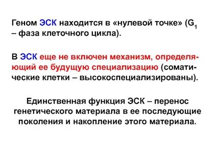 Единственная функция