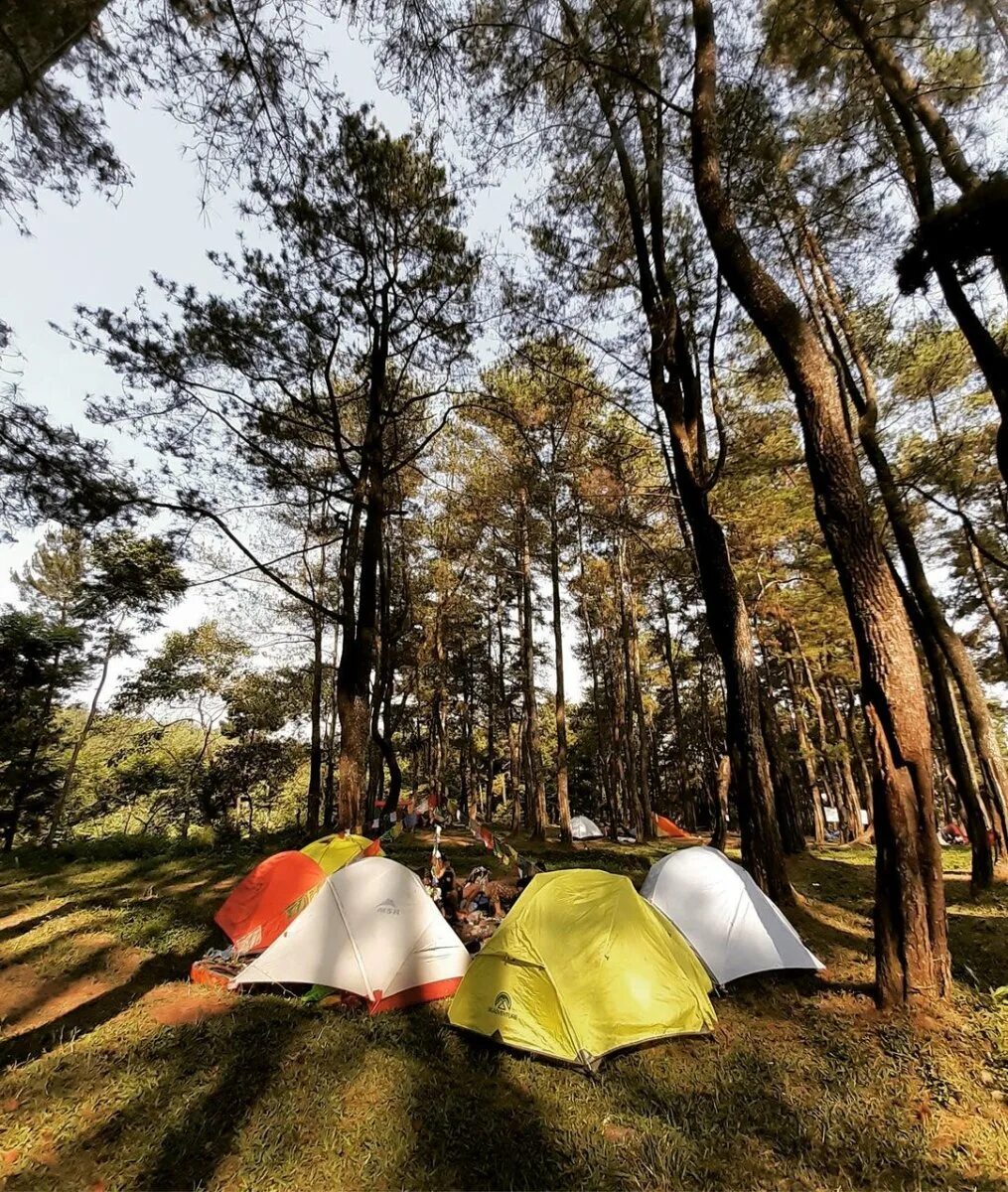 Палаточный кемпинг. Палаточный кемпинг улучшенный. Палаточный кемпинг в Абхазии. Освещение палаточного лагеря.