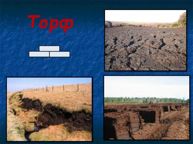 Природные ископаемые торф. Торф. полезные ископаемые торф. торф рисунок. торф в природе.