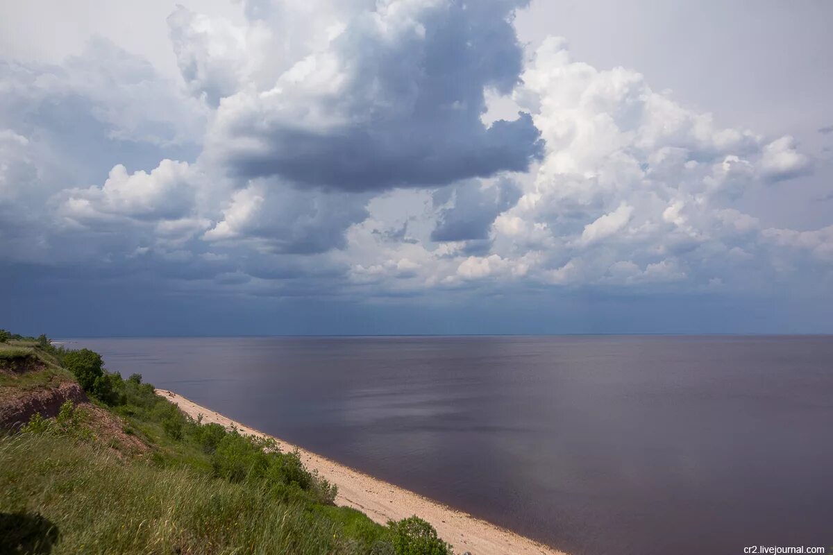 здесь можно любоваться красотой озера ильмень. берег озера ильмень. берег озера ильмень коростынь. озеро ильмень великий новгород. берег ильменя великий новгород.