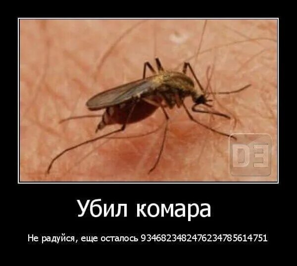 Всех убью один останусь. Комар прикол. Комар Мем. Шутки про комара. Мемы про комаров.