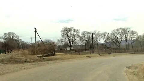 Погода новогеоргиевка приморский край октябрьский