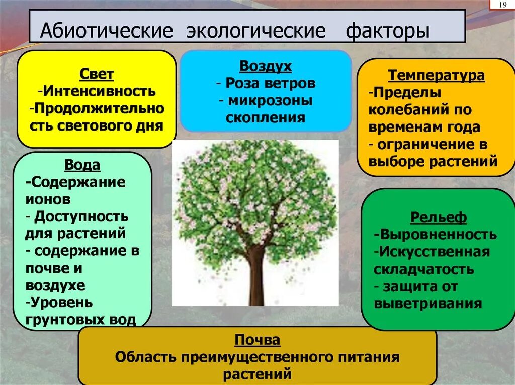 Абиотический фактор примеры биология. Абиотические факторы окружающей среды. Абиотические экологические факторы. Абиотический фактор это в экологии. Абиотические факторы примеры.