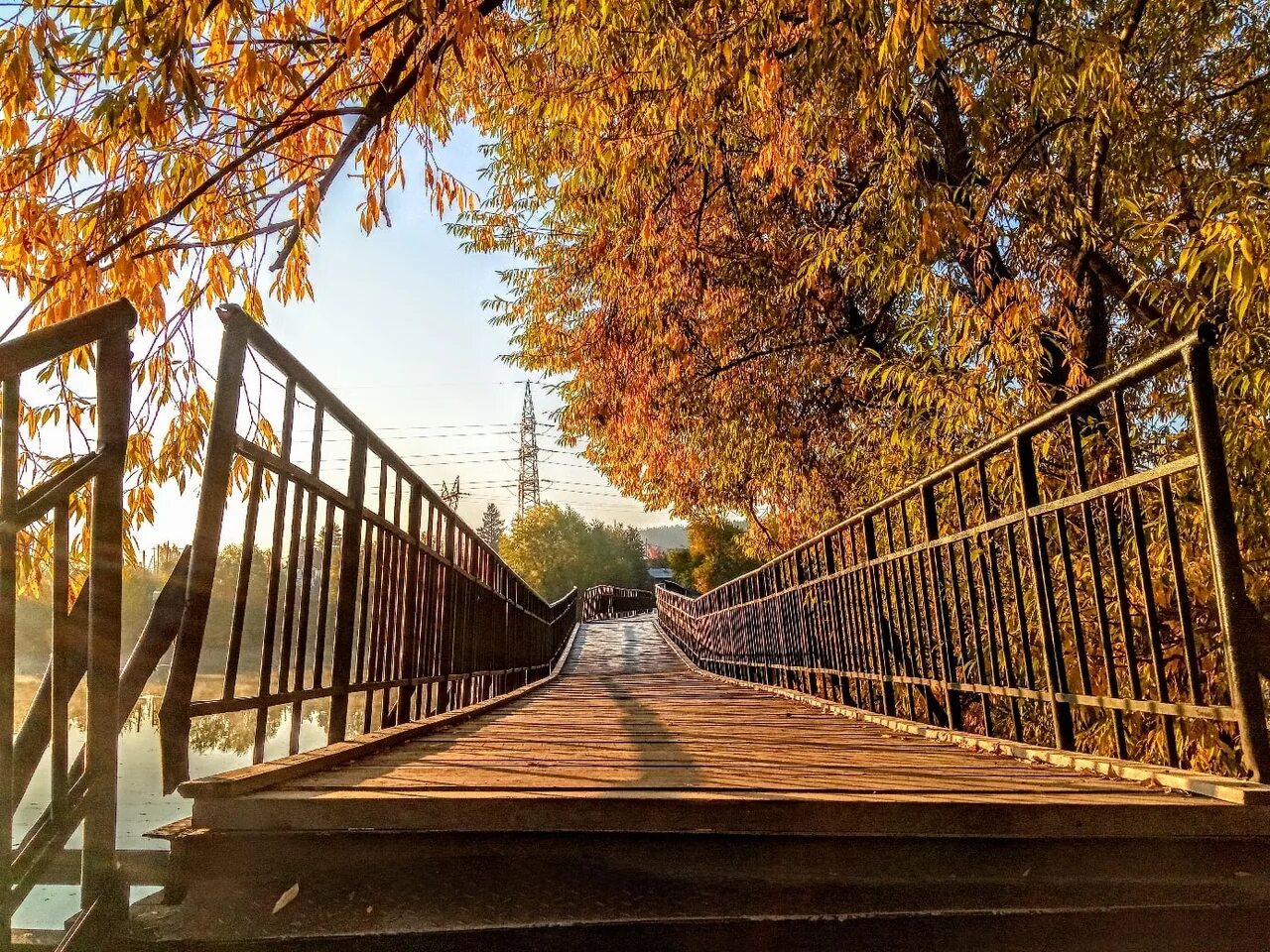 Парки екатеринбурга. Харитоновский парк екатеринбург. Харитоновский сад екатеринбург. Дендропарк екб осень. Парки екатеринбурга.