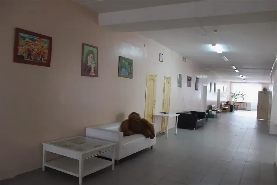 Владимировская психиатрическая больница платные услуги. Поселок содышка психиатрическая больница. содышка психиатрическая больница 2. содышка владимир больница. психиатрическая больница 1 владимир на содышке.