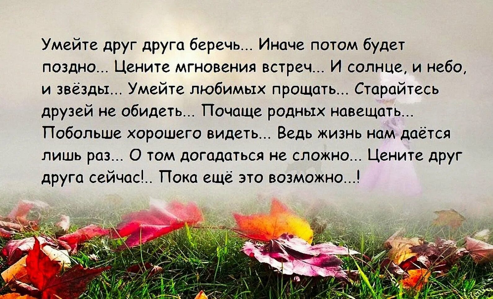 Берегите близких и родных картинки