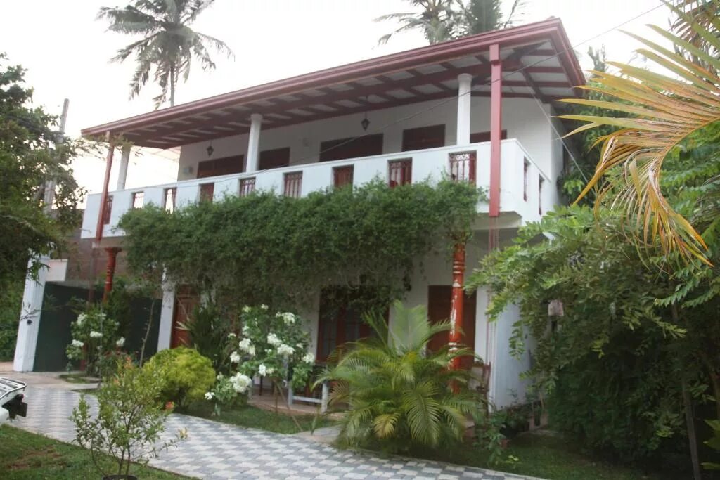Primrose guest house шри ланка. Шри ланка гостевой дом мирисса. orchid resort mirissa. гостевой дом на шри ланке. prime guest house шри ланка\.
