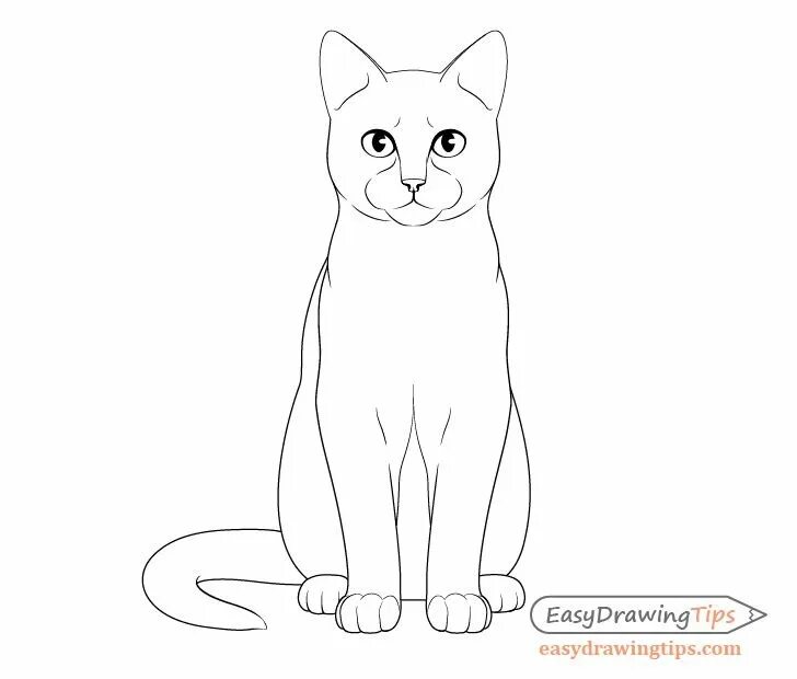 Как нарисовать стоящего котика. Нарисовать сидящего кота. кот сидит иллюстрация. кошка сидит рисунок. сидящий кот карандашом.