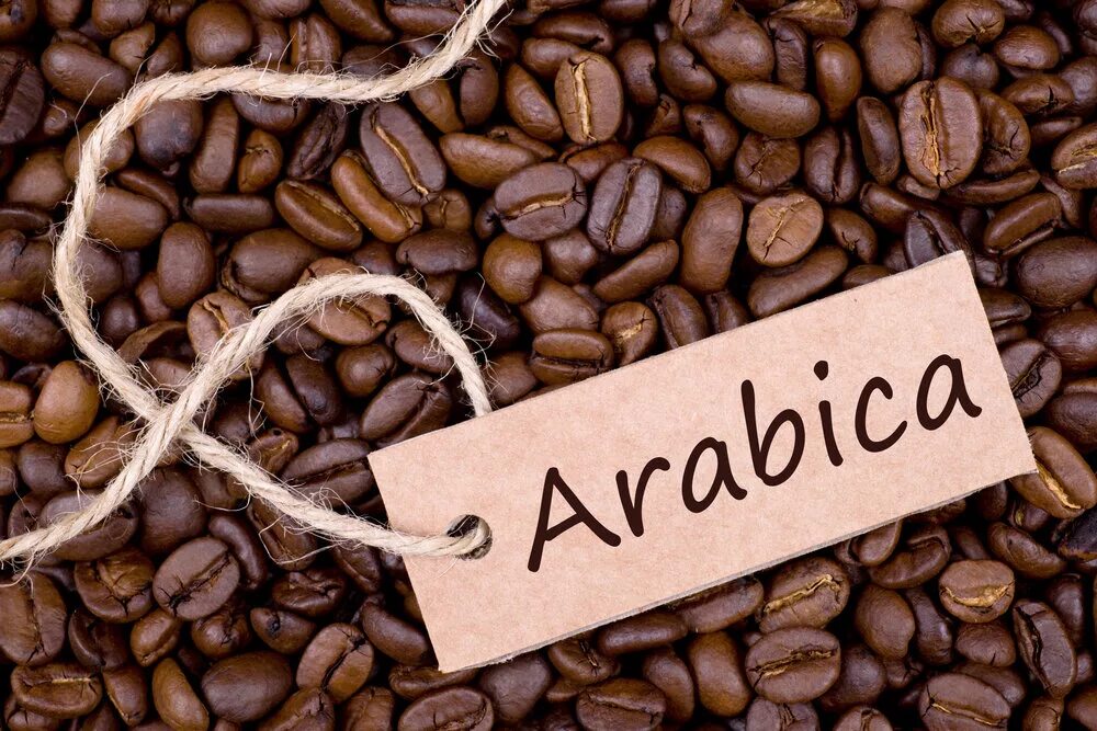 Кофе с робустой. Кофе Арабика и Робуста. Coffea Arabica /кофе Арабика. Кофе в зернах Арабика и Робуста. Арабика Робуста Либерика.