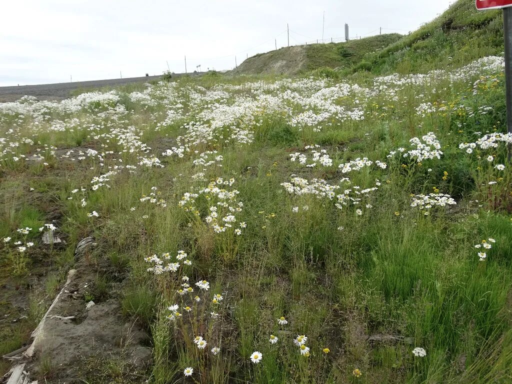 караул таймырский. караул таймырский. поселок караул таймыр. караул таймырский. посёлок караул красноярского края.