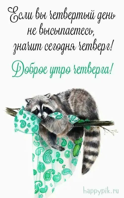 Доброго четверга прикольные картинки смешные с надписью