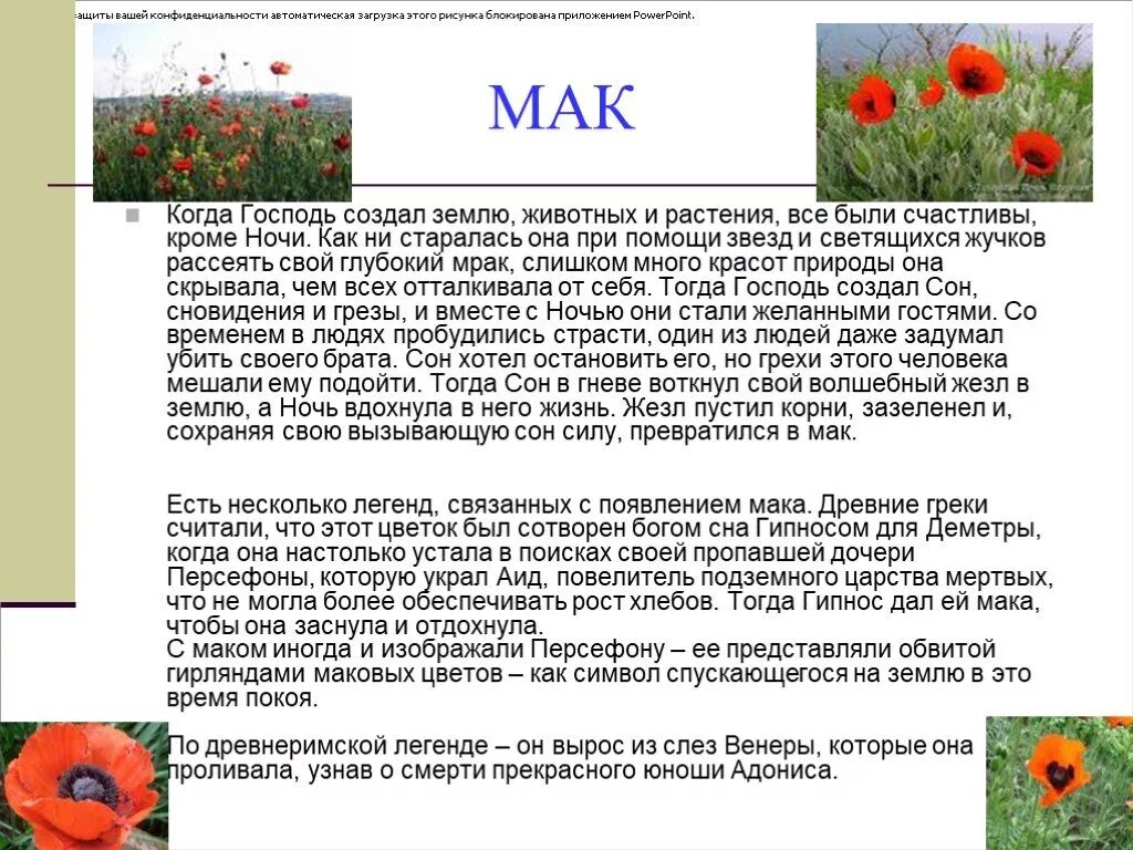 Легенды о растениях и животных. Легенды о цветах. мифы и легенды о цветах. растения в легендах и преданиях. легенды и сказания о цветах.