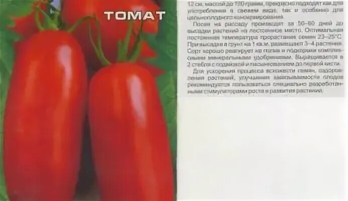 Томаты топ модель описание сорта. Сорт томата супермодель. Томат супермодель характеристика. Помидоры супермодель описание сорта. Семена томат супермодель.