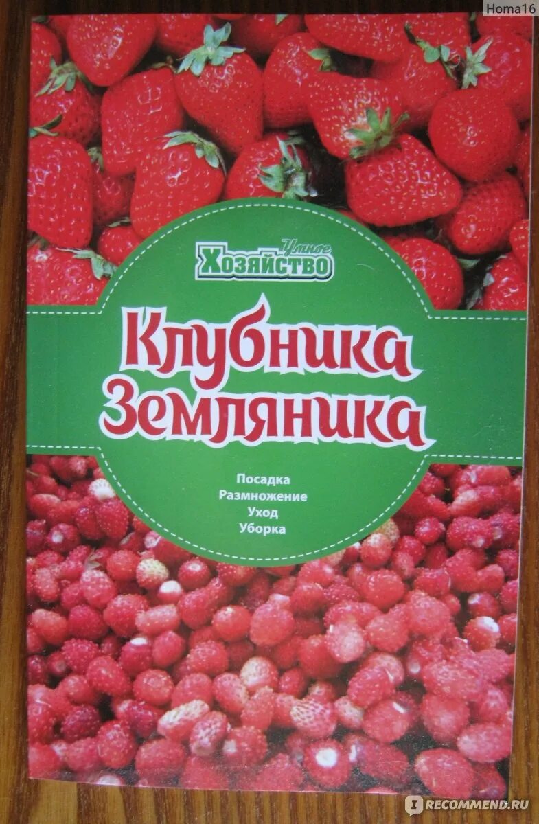 Земляника книга. Клубника и книги. Земляника в книжке. Книга Говорова земляника.