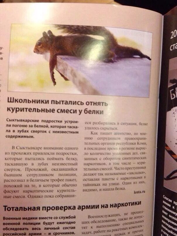 Песня сколько белка я словил