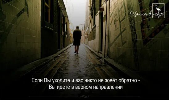 Если вы уходите и вас никто не зовет. Если вы уходите и вас не зовут обратно. Зовёт обратно. Иду в верном направлении. Иду в верном направлении.