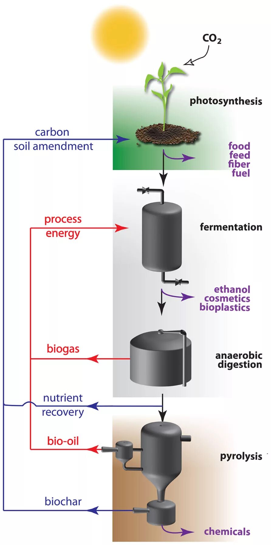 Process following